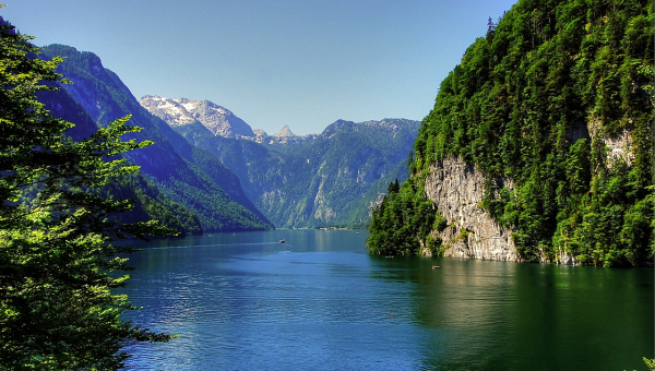 Nationalparks in Deutschland    Bild von kordula vahle auf Pixabay
